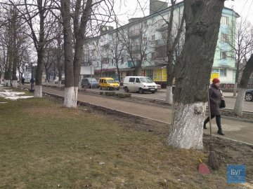 У місті на Волині відмовилися від побілки дерев