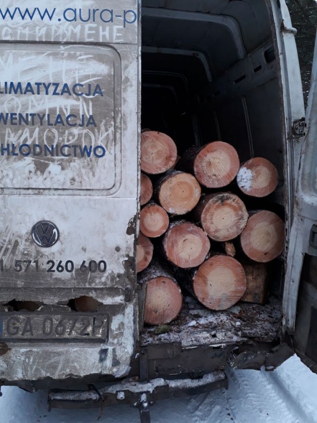 На Волині затримали крадіїв лісу на єврономерах