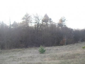 На Волині археологічна експедиція досліджувала стародавнє місто