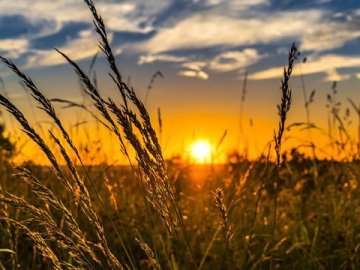 Погода в Луцьку та Волинській області на завтра, 17 червня