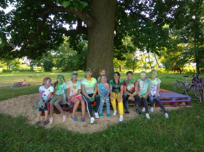 У селі на Волині негода повалила пам'ятного дуба. ФОТО