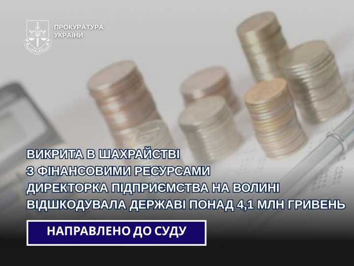 На Волині директорка підприємства під час пільгового розмитнення авто недоплатила до бюджету понад 4 мільйони