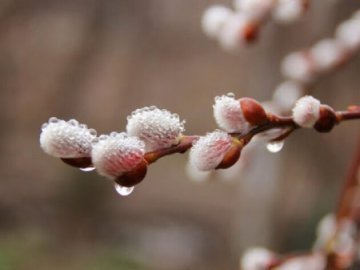 Погода в Луцьку та Волинській області на завтра, 24 березня