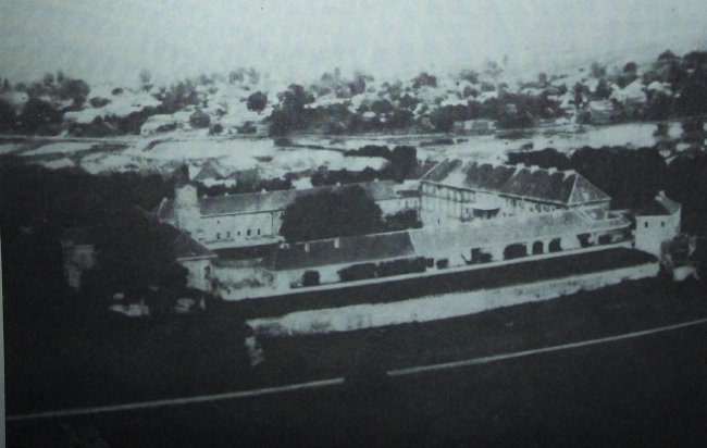 Олицька резиденція на унікальних ретрофото