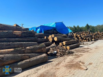 Незаконні рубки у нацпарку на Волині прикривав керівник, - СБУ