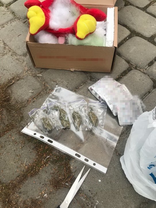 Ведмедик з «сюрпризом»: на Волині викрили канал постачання наркотиків в колонію. ФОТО