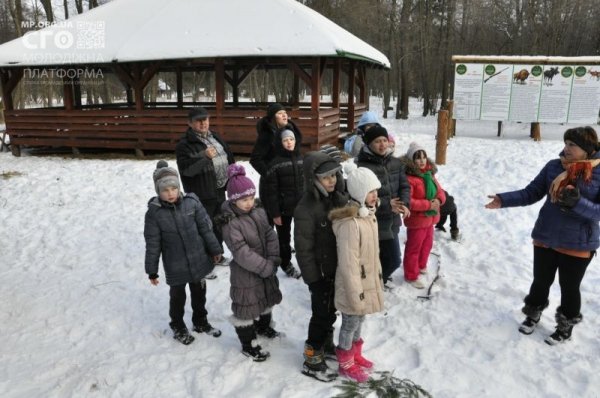 Як на Волині діти підгодовували диких тварин. ФОТО