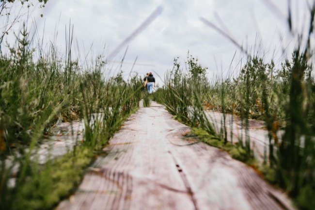 Луцька фотографка показала красу загадкового Черемського болота 
