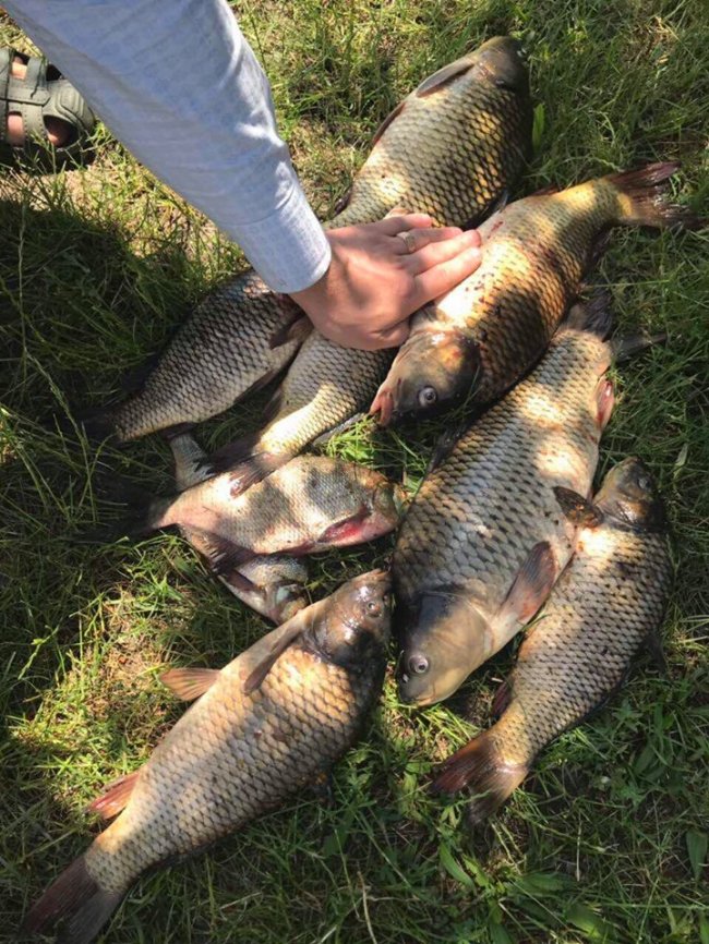 Волинянин упіймав коропа вагою 9 кілограмів. ФОТО