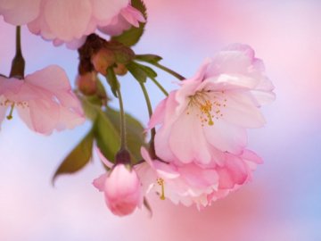 30 травня – яке сьогодні свято та чому  в цей день не можна приймати подарунків