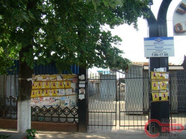 Нововолинська дісталася антипутінська кампанія. ФОТО