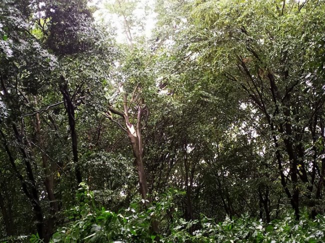 Андрій Гаврилюк