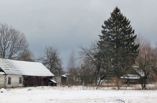 Красиві фото зими у волинському Поліссі 
