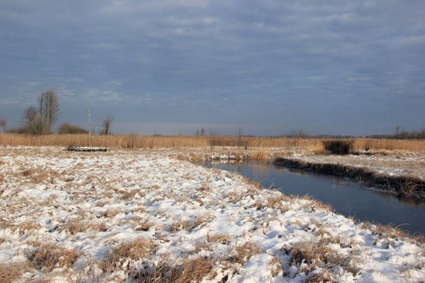 Красиві фото зими у волинському Поліссі 