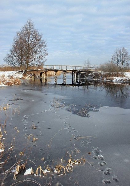 Красиві фото зими у волинському Поліссі 