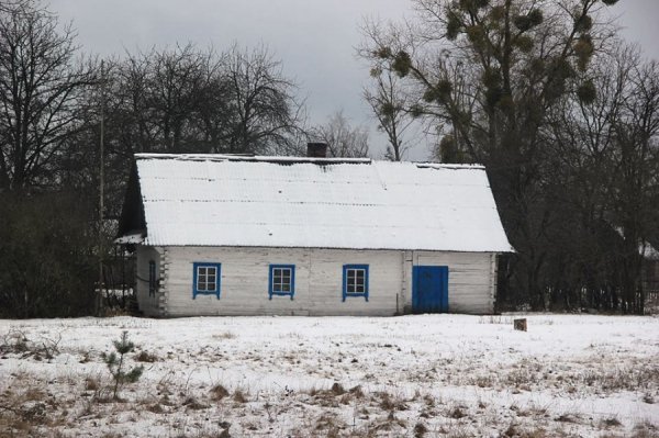 Красиві фото зими у волинському Поліссі 