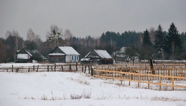 Красиві фото зими у волинському Поліссі 