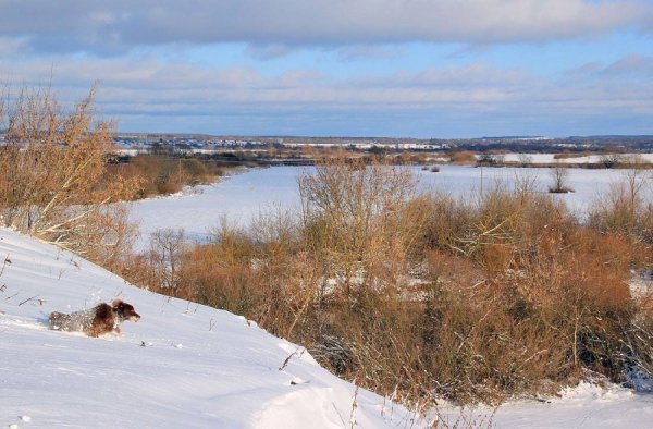 Зимова краса волинських річок