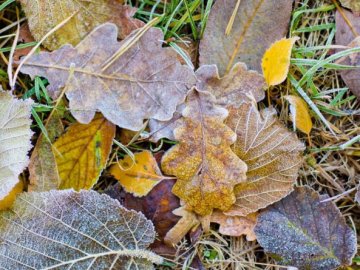 Погода у Луцьку та Волинській області на завтра, 18 листопада