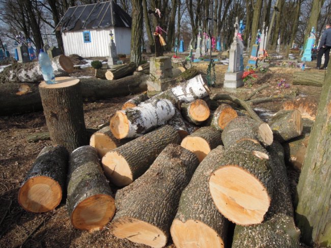 Староста організував впорядкування сільського кладовища у громаді на Волині. ФОТО