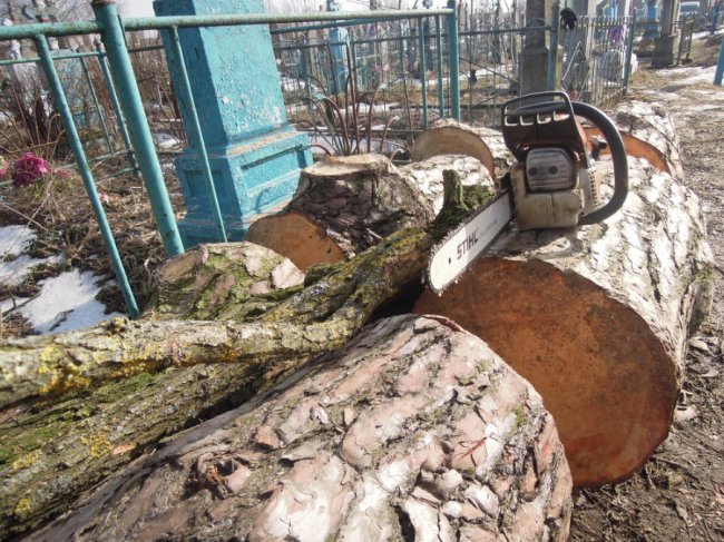 Староста організував впорядкування сільського кладовища у громаді на Волині. ФОТО