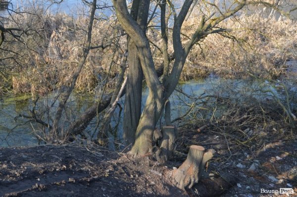 Новий асфальт – старі проблеми: Романюк похвалився відремонтованою дорогою. ФОТО