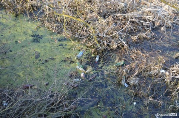 Новий асфальт – старі проблеми: Романюк похвалився відремонтованою дорогою. ФОТО