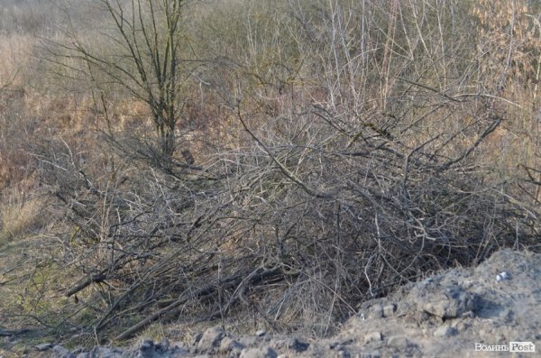 Новий асфальт – старі проблеми: Романюк похвалився відремонтованою дорогою. ФОТО