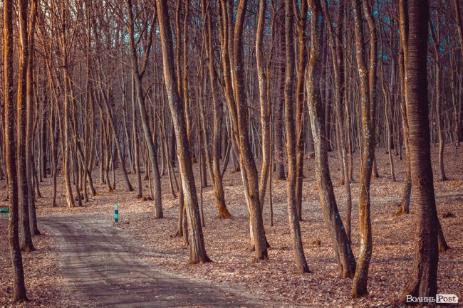 Перший день весни у «волинській Швейцарії». ФОТОРЕПОРТАЖ