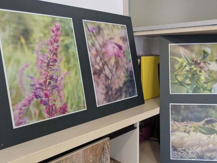 На війні зняв понад 5000 макросвітлин: дружина безвісти зниклого бійця з Волині організувала виставку його фото