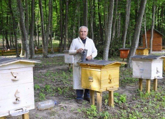 Волинські лісівники працюють над розвитком медової справи. ФОТО
