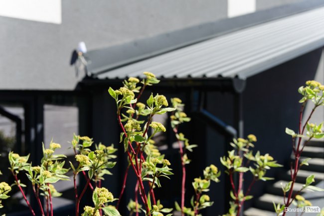 Здача нового будинку і озеленення території: затишне і сучасне житло у ЖК «Західний Олімп» під Луцьком*