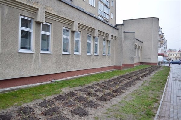 У Ковельському парку зникають квіти, на які виділили 50 тисяч гривень