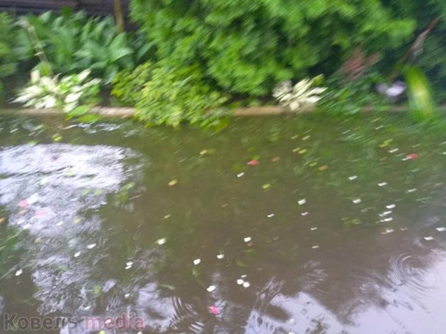 У Ковелі приватні подвір’я підтоплює міська каналізація. ФОТО