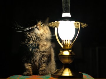 У кількох селах на Волині люди вже дві доби сидять без світла