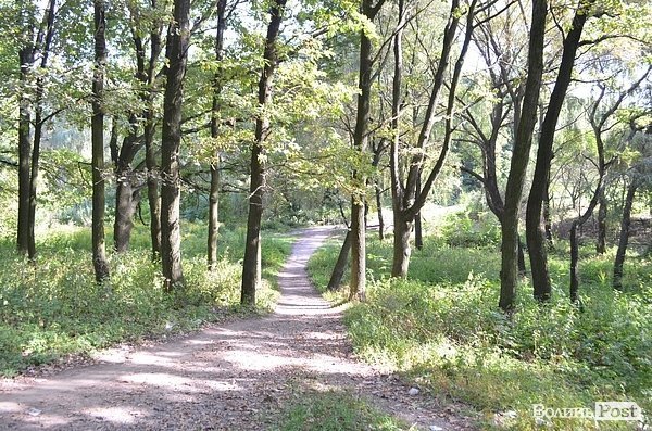 Луцький парк перетворився на смітник, бо нікому доглядати. ФОТО