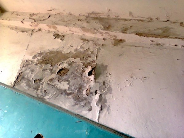 Багатоповерхівки у Луцьку обростають дірками. ФОТО