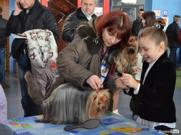 У Луцьку ‒ виставка собак. ФОТО