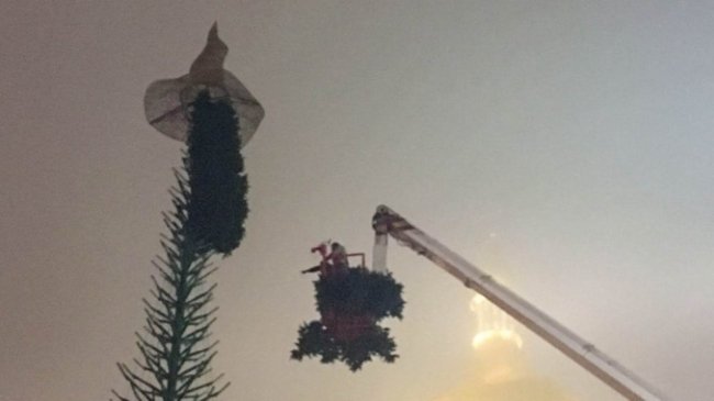 У Києві почали збирати головну ялинку країни. ФОТО