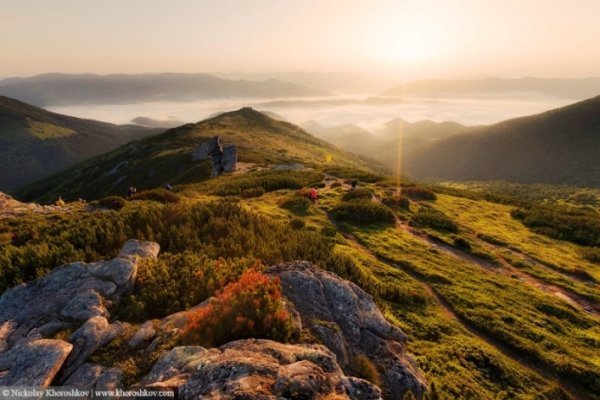 Чарівність карпатського літа крізь об'єктиви українських фотографів. ФОТО