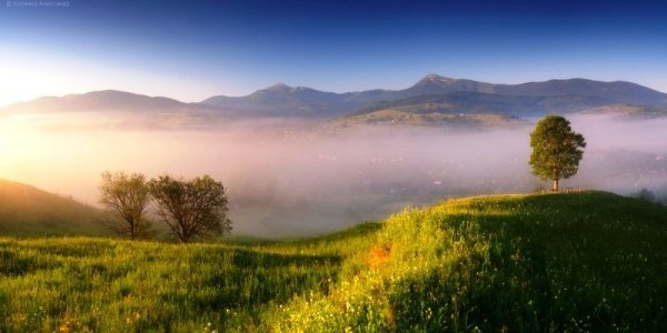 Чарівність карпатського літа крізь об'єктиви українських фотографів. ФОТО