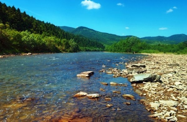 Чарівність карпатського літа крізь об'єктиви українських фотографів. ФОТО
