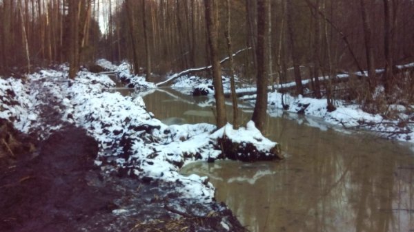 Копанка бурштину