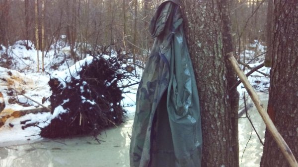 На Волині виявили копанки незаконного видобування бурштину. ФОТО