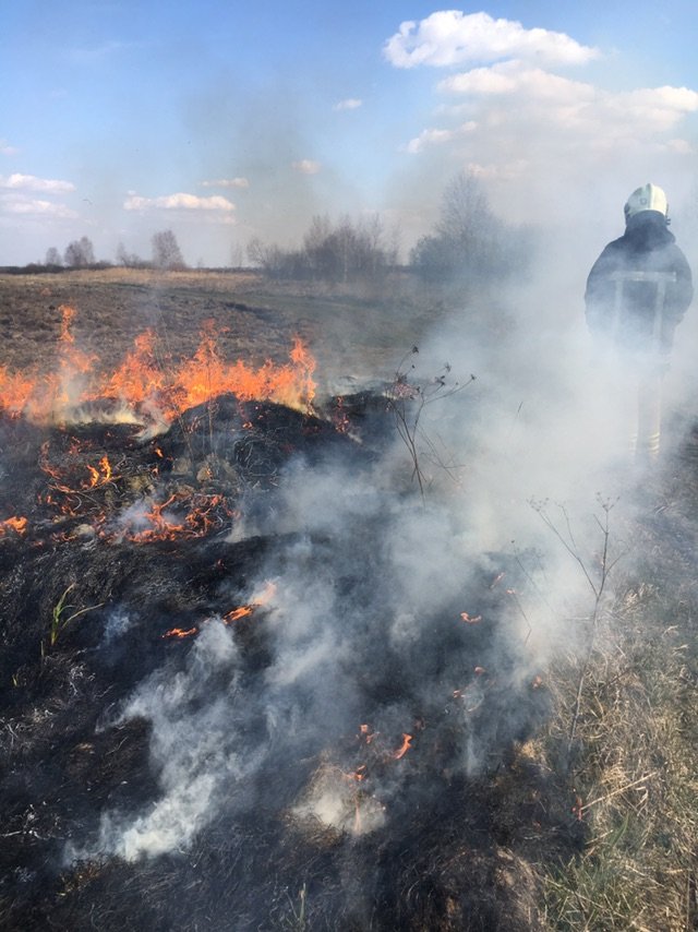 На Волині за минулий тиждень рятувальники 92 рази виїжджали на гасіння сухої трави. ФОТО. ВІДЕО