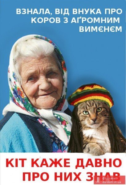 Бабуся і кіт: фотожабоманія триває. ФОТО