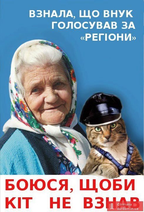 Бабуся і кіт: фотожабоманія триває. ФОТО