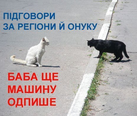 Бабуся і кіт: фотожабоманія триває. ФОТО