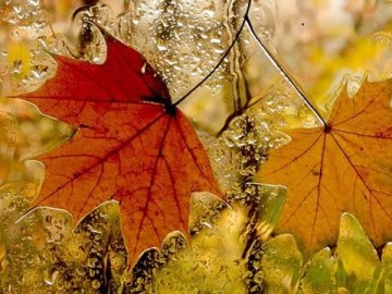 Погода у Луцьку та Волинській області на завтра, 10 листопада