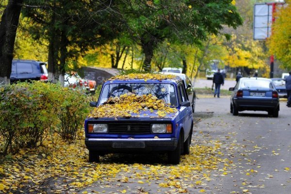 Осінній Луцьк. ФОТО